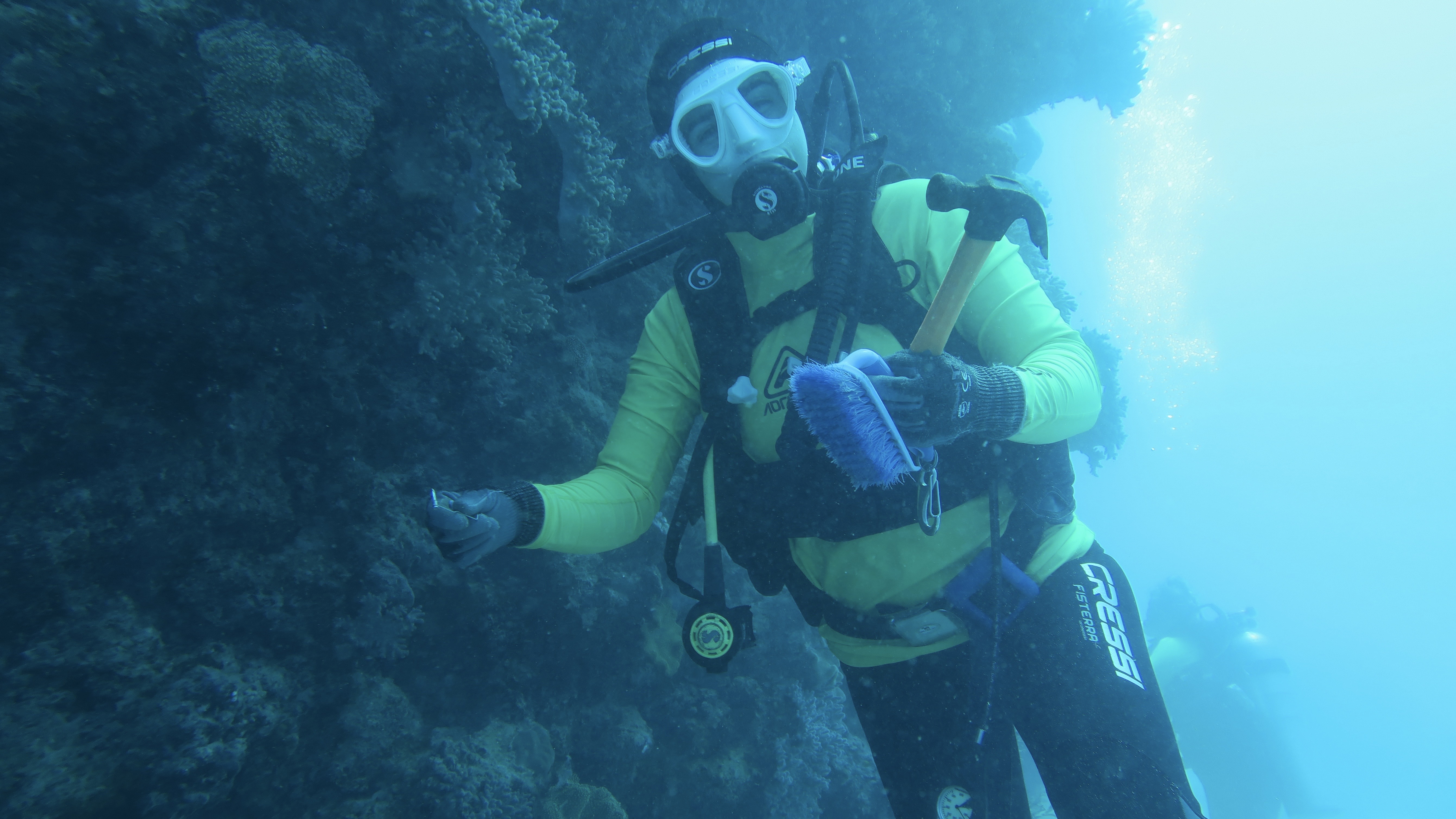 Marine Conservation Australia