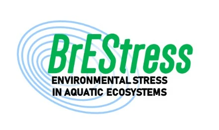 BrEStress