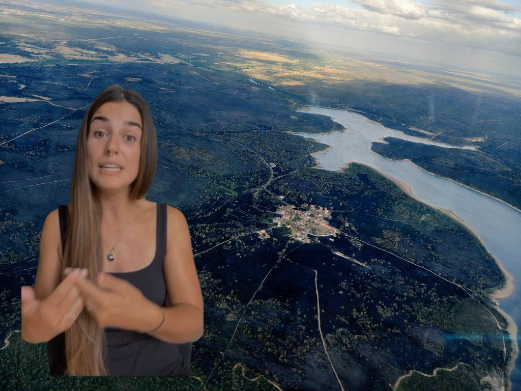 Wildfire Documentary Series